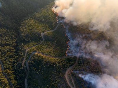Wildfires in Qastal Maaf, in Latakia province, western Syria. Ahmad Fallaha for The National