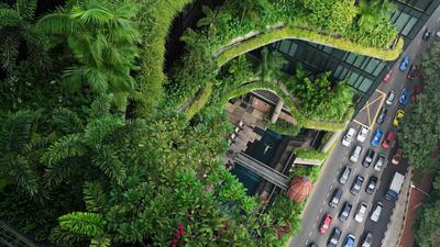 Lucas Foglia: Esme Swimming, Parkroyal on Pickering, Singapore, 2014. From the series: Human Nature, 2006–2019 © LucasFoglia, Prix Pictet
