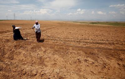 Iraqi farmers work their fields north of Mosul. Reuters
