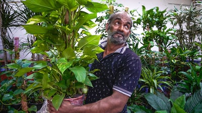 Harris BM of Shop 44 has worked for several shops during his six years at the plant souq – his specialty is outdoor plants