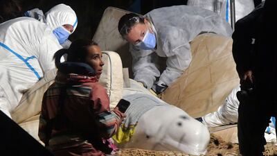 Vets look after a beluga whale that was stranded in the Seine river, near Notre Dame de la-Garenne in northern France. AFP