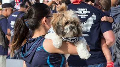 This dog was brought along to cheer on runners.