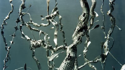 Olde Wolbers, Saskia 