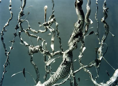 Olde Wolbers, Saskia