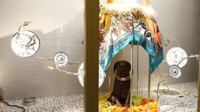 A pet shop created by the artists Zim and Zou. A dog sits inside a gilded cage — draped in an Hermes scarf, naturally — from where the birds have flown. A flying fish can also be seen overhead, sporting an Hermes collar. Pawan Singh / The National
