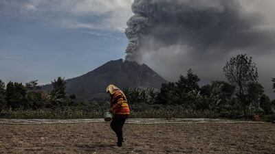 A farmer toils as Mount Sinabung spews thick ash into the air in Karo, North Sumatra, Indonesia. AFP