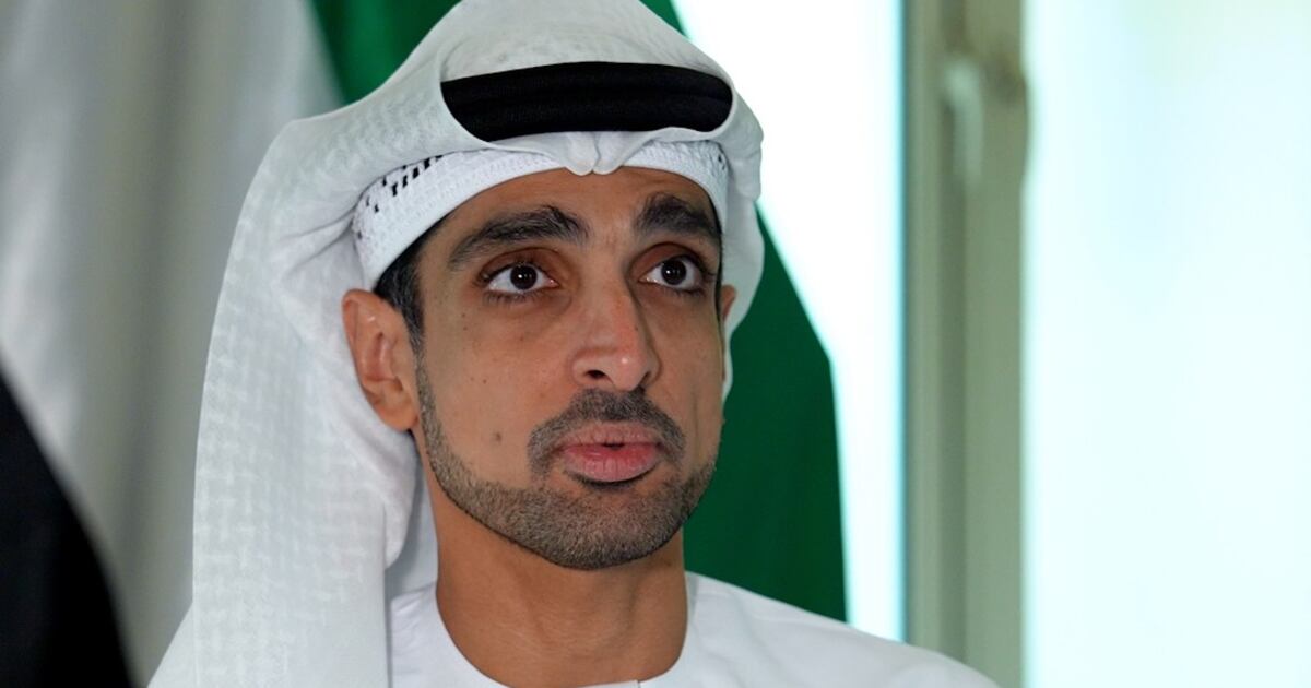 UAE seeks to strengthen East-West links through Brics, says senior ...