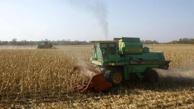 South Korea, the European Union and Turkey are the biggest buyers of the grain - including corn - from Russia. Eduard Korniyenko / Reuters