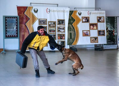 Canine dog unit member Ben on "attack" mode. Victor Besa / The National