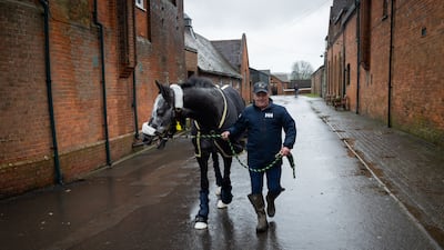 Kevin Hunt leads Happy Power through the Park House stables near Newbury. All photos: Mark Chilvers for The National