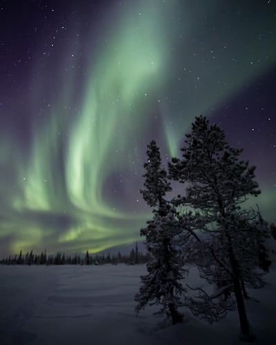 The Northern Lights in Swedish Lapland this winter. Jamie Lafferty