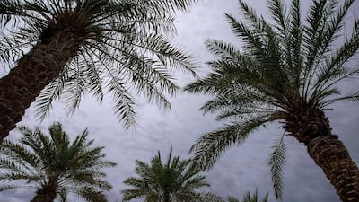 Cloudy weather at the Al Bandar Marina, Abu Dhabi. Victor Besa / The National