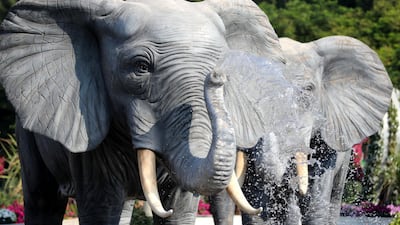 Admission costs Dh55 for adults and Dh40 for children aged 12 and below.