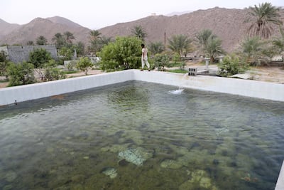 Wadi Al Helo in Sharjah. Chris Whiteoak / The National