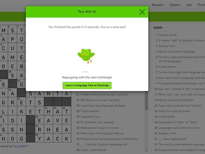 Digital crossword puzzles offer instant gratification