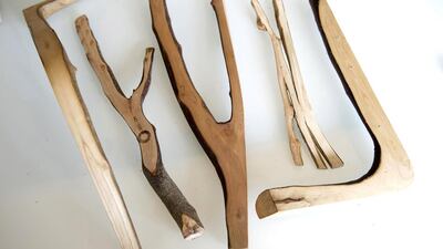 Nearly a decade on, the fruits of his labours are still up to two years away. The first chairs will be harvested at the end of 2016 in the depths of winter, planed and finished, then sold the following year. AFP