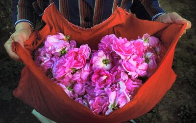 The country’s rose oil is dubbed the ‘gold of Bulgaria’. AFP