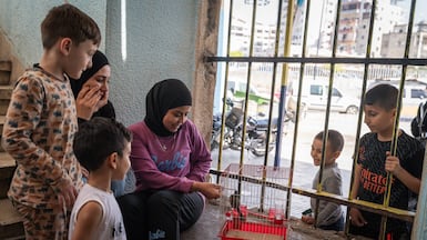 Children are enchanted by a bird at a displacement shelter in Sidon, Lebanon, where Israel and Hezbollah continue to trade attacks despite a ceasefire. Getty Images