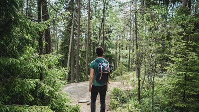 Holidaymakers in the UAE want to travel more sustainably, but the cost of green travel is prohibitive for many, says Booking.com. Photo: Patrick Schneider / Unsplash