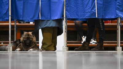 A dog waits as its owner casts a vote at the City Hall of Copenhagen. AFP