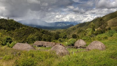 A traditional Dani village in the Baliem Valley, Papua. The Baliem Valley was discovered by the outside world in the late 1930s, when headhunters were still common, and stone and bone tools were used. Getty Images