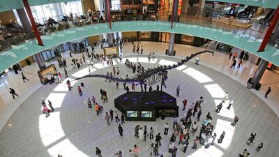 A 155-million-year-old long-necked, whip-tailed adult sauropod dinosaur, on show at the Dubai Mall in 2014. Kamran Jebreili / AP Photo