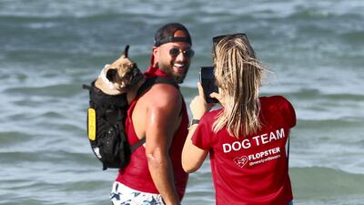 Guests enjoying the sea with their pet dog. Chris Whiteoak / The National