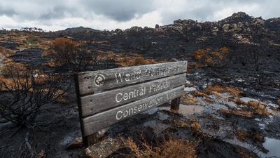 A burnt World Heritage sign is surrounded by a singed landscape after the bushfires on Tasmania’s Central Plateau. Courtesy Dan Broun.