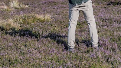Sheikh Hamdan was on a similar trip in the UK the same time last year along with his father Sheikh Mohammed bin Rashid, Vice President and Ruler of Dubai