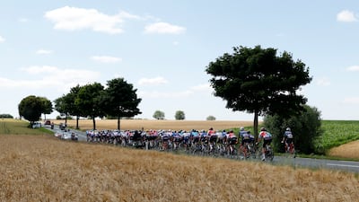 General view of the peloton during Stage 4. Reuters