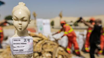 The stockpile included raw and crafted ivory recently seized from smugglers in Dubai. Victor Besa for The National.
