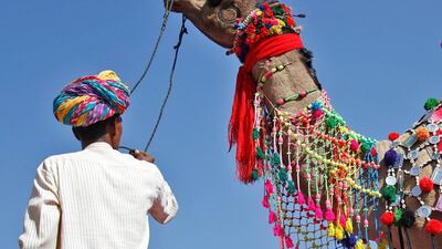 A trader displays his camel during a camel decoration competition at Pushkar Fair, where animals, mainly camels, are brought to be sold and traded in the desert Indian state of Rajasthan, India. Himanshu Sharma / Reuters