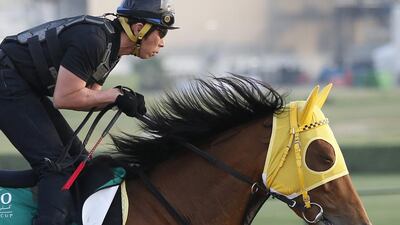 A work rider rides Harp Star on Tuesday at Meydan racecourse ahead of Saturday's Dubai World Cup night. Harp Star will race in the Dubai Sheema Classic. Ali Haider / EPA