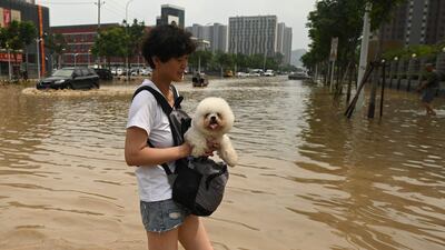 People wade through a flooded street following a heavy rain in Zhengzhou, in China's Henan province.