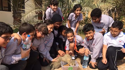 Children from Al Rabeeh School visit a street cat feeding station set up by volunteers from Animal Welfare Abu Dhabi. Courtesy Dr Susan Aylott