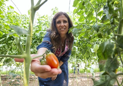 Elena Kinane checks on the tomatoes at her farm in Sharjah. Leslie Pableo for The National