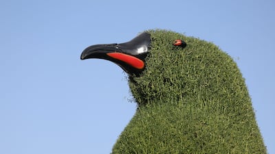 Birds and animals are among the flowery features