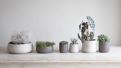 Incorporate greenery and natural materials into your home to create a positive space. Courtesy Garden Trading