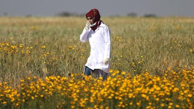 Palestinian medic Razan Al Najjar works at the scene of clashes at Israel-Gaza border, in the southern Gaza Strip. Reuters