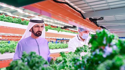 The vertical farm is capable of producing more than 1,000 tonnes of leafy greens each year.