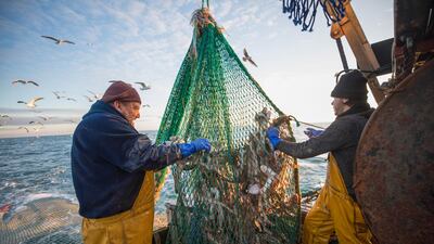 Fishermen empty their catch aboard fishing boat 'About Time' while trawling in the English Channel from the Port of Newhaven, East Sussex, UK on January 10. All pics: Bloomberg