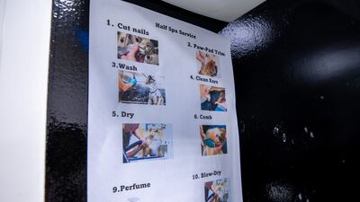 The half spa grooming services offered at Posh Pets.