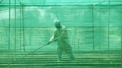 A man works at Al Dhaid agricultural research centre, Sharjah, United Arab Emirates. Jaime Puebla / The National