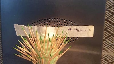 Toothpicks found in the elevator of Al Rais building, Bur Dubai. Courtesy of Shivani Moorjani