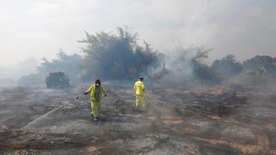 Israeli firefighters of the Nature and Parks Authority try to extinguish the forest fire at the Carmia nature reserve near Kibbutz Zikim, southern Israel, 16 July 2018. EPA