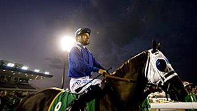 Richard Hills and Nirwan formed a formidable team at the Abu Dhabi Equestrian Club, winning the President's Cup with a brilliant run.