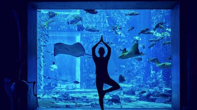 Atlantis The Palm is hosting a yoga class with serene views of the venue's 65,000 marine animals. Photo: Atlantis The Palm