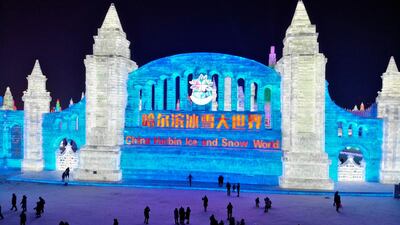 A view of some of the ice sculptures. AFP