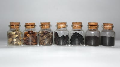 Judhur uses the by-product of date seeds to create biodegradable food containers