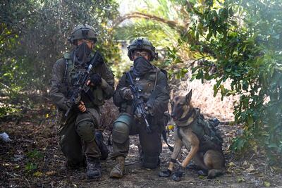 The Israeli army says it uses sniffer dogs in Gaza. Photo by Israeli Army / AFP
